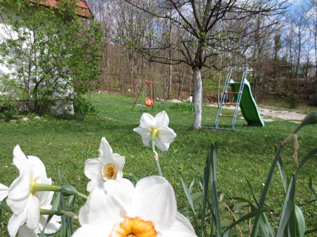 House Katja Otel Jezerce Dış mekan fotoğraf